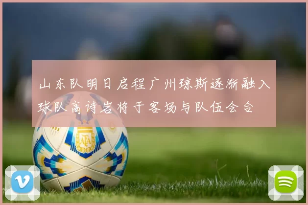 山东队明日启程广州琼斯逐渐融入球队高诗岩将于客场与队伍会合