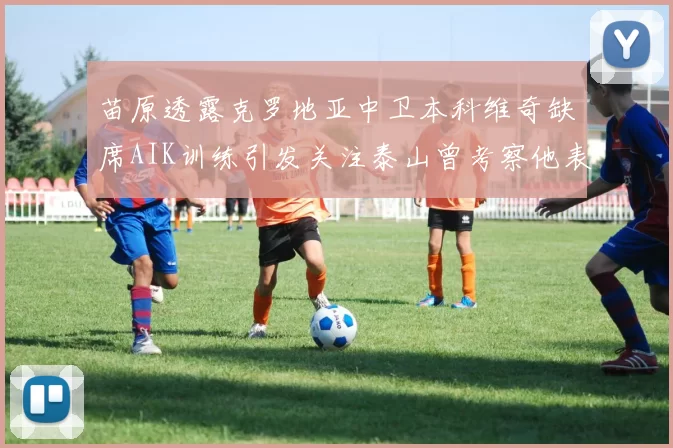 苗原透露克罗地亚中卫本科维奇缺席AIK训练引发关注泰山曾考察他表现