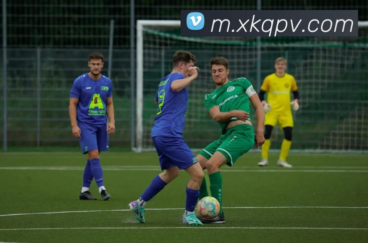 星空娱乐棋牌平台生态图